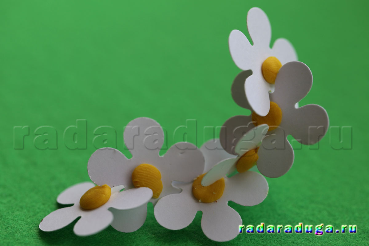 ромашки