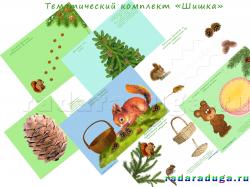Тематический альбом Шишка