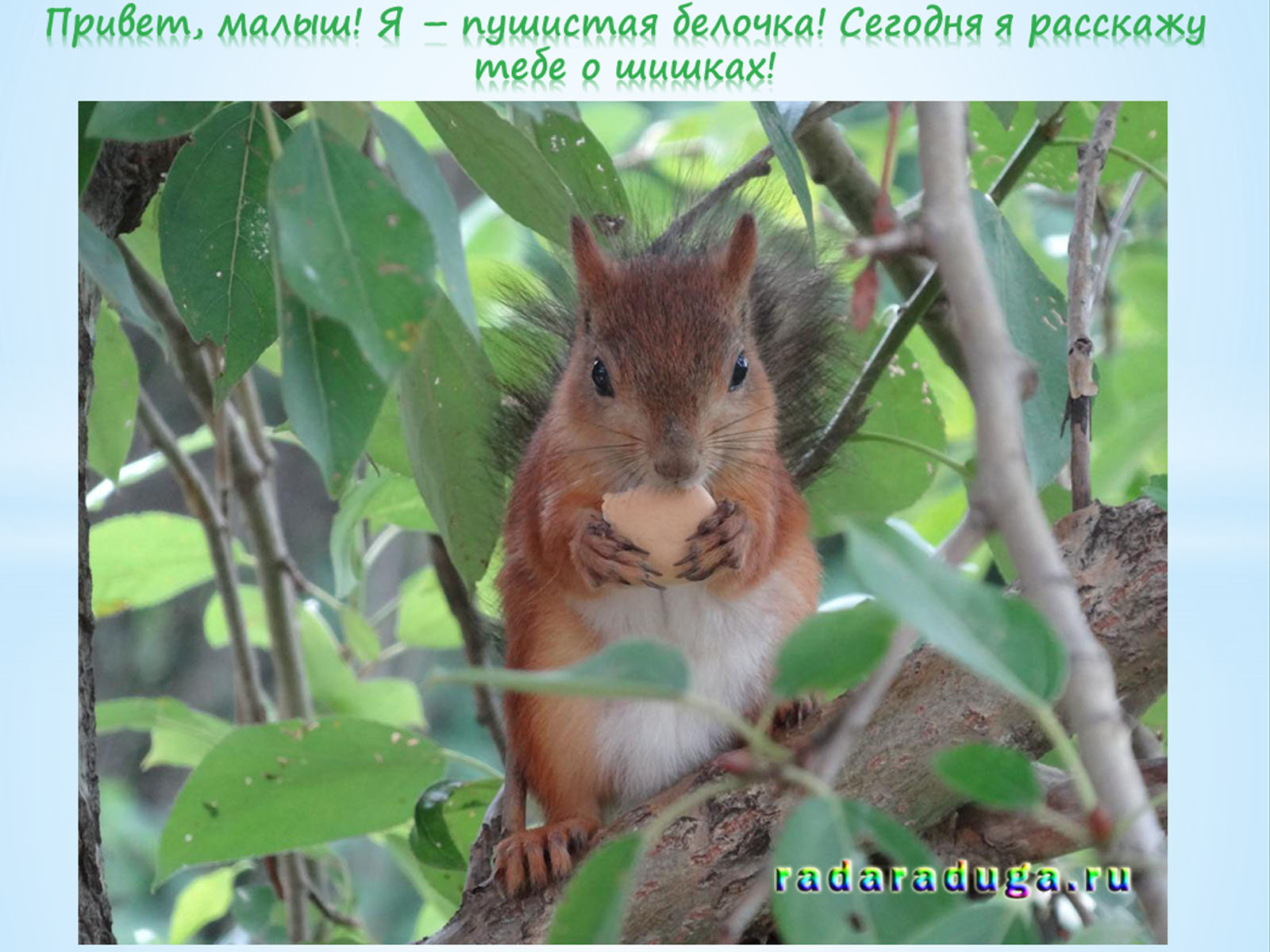 презентация для детей