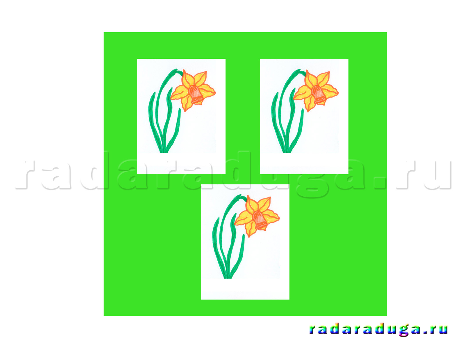 Весенние цветы