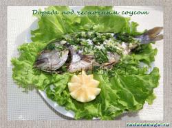 Дорада под чесночным соусом