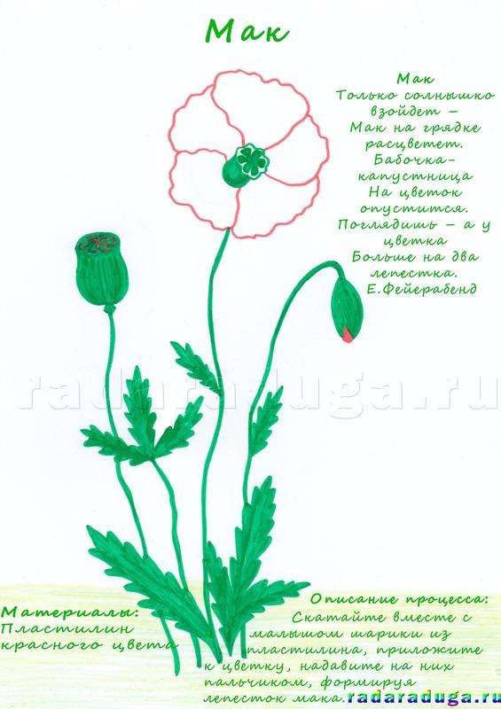 поделка мак