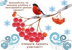 Отчеты участников творческого конкурса